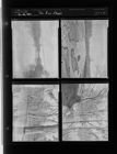 Tar River Flood (4 Negatives) (January 26, 1954) [Sleeve 25, Folder a, Box 3]